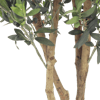 Faux olive tree stems