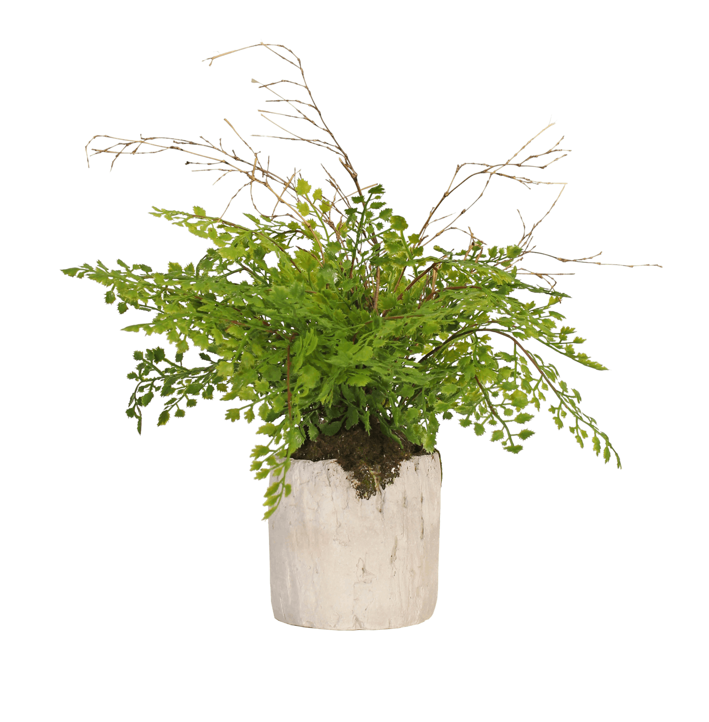 Artificial maidenhair fern