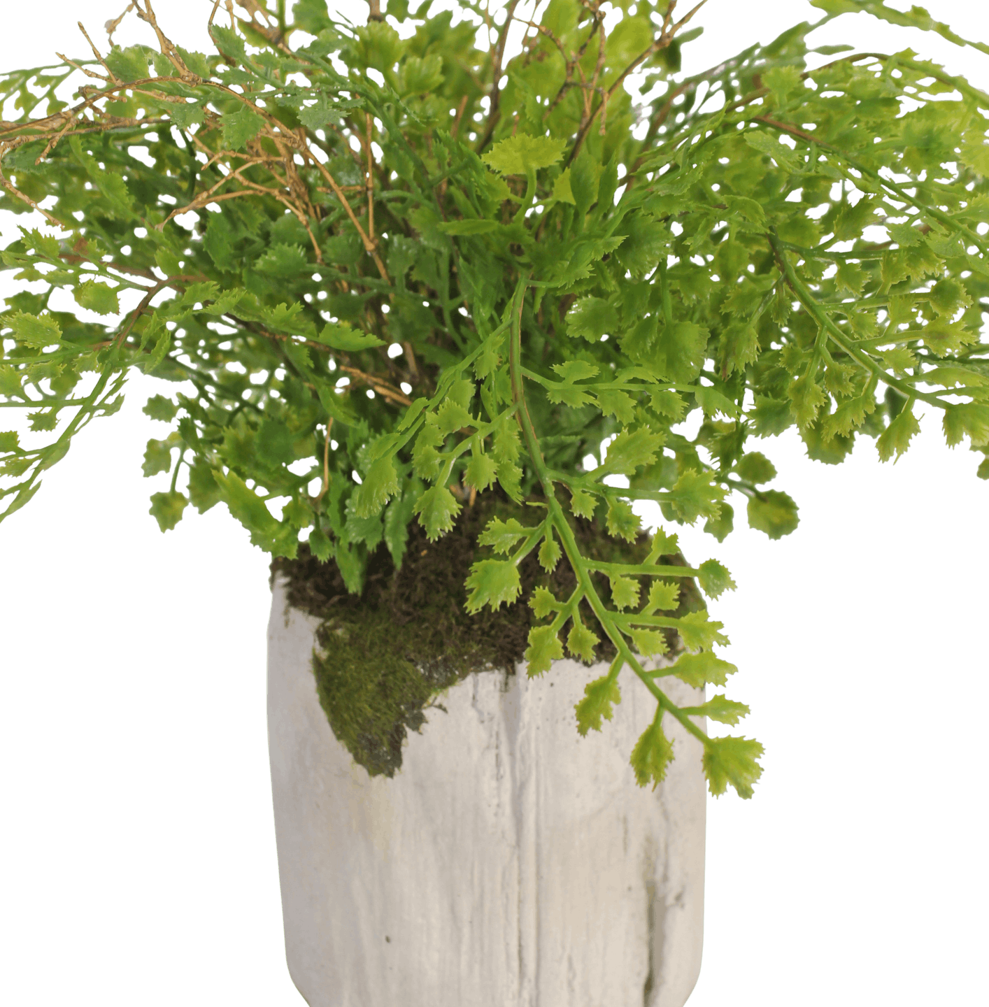 Faux maidenhair plant foliage