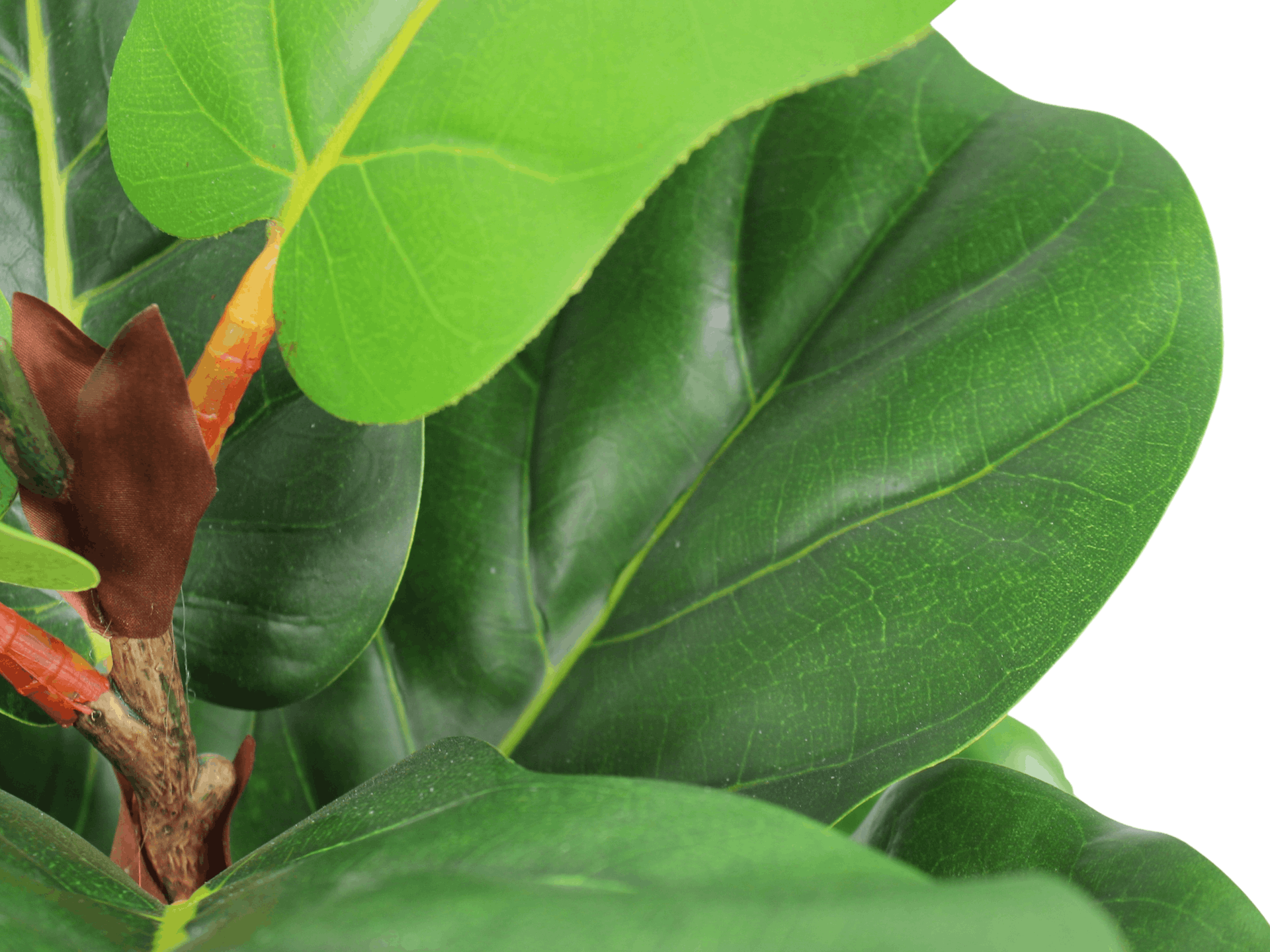 Artificial mini fiddle leaf fig leaves