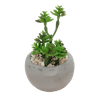 Mini faux succulent