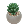 Artificial mini succulent