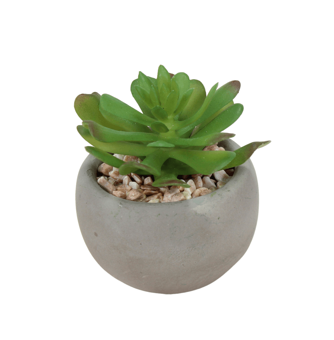 Mini faux succulent