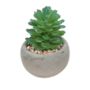 Faux mini succulents