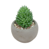 Mini artificial succulent