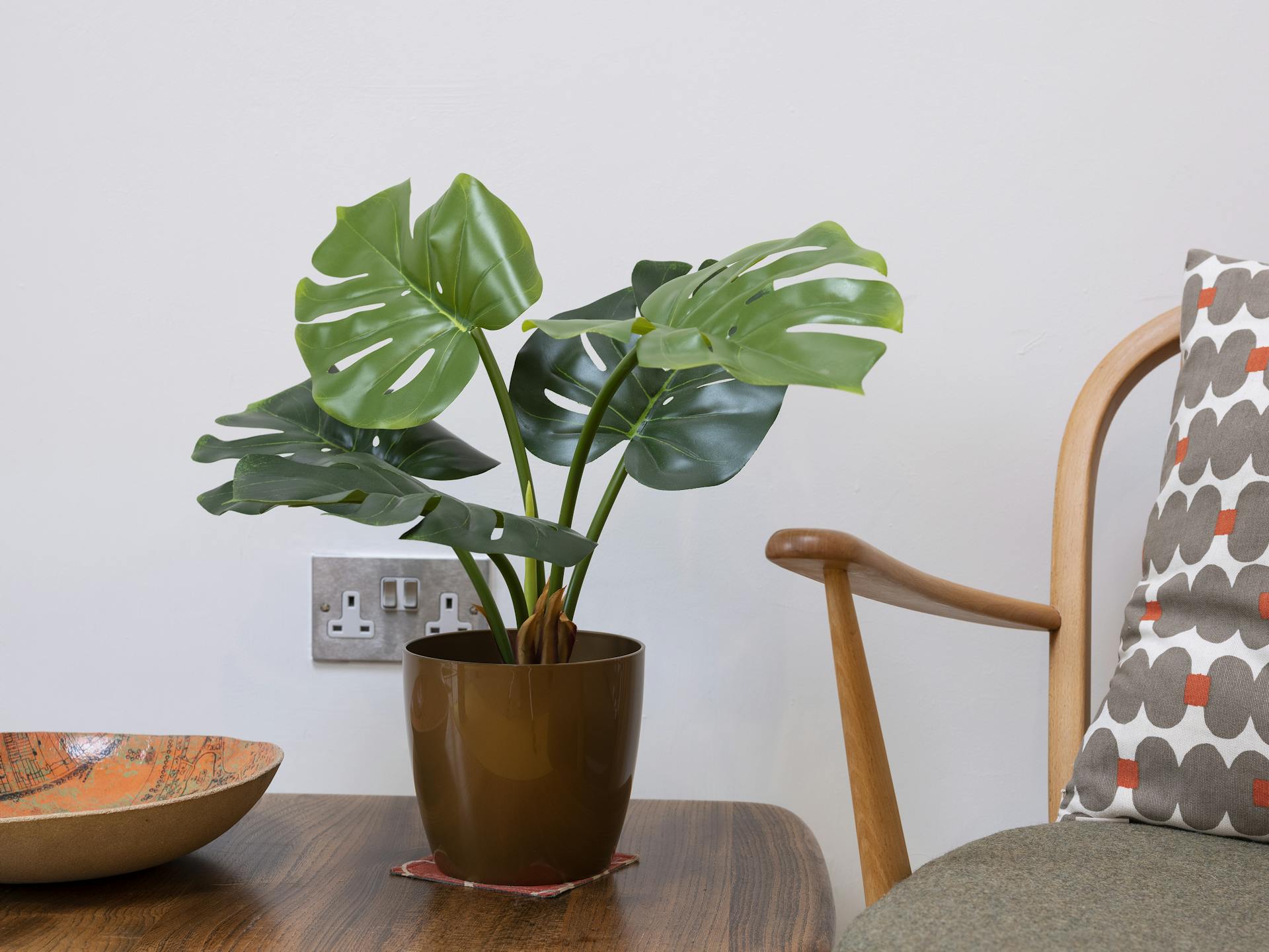 Artificial monstera houseplant sat on coffee table with armchair