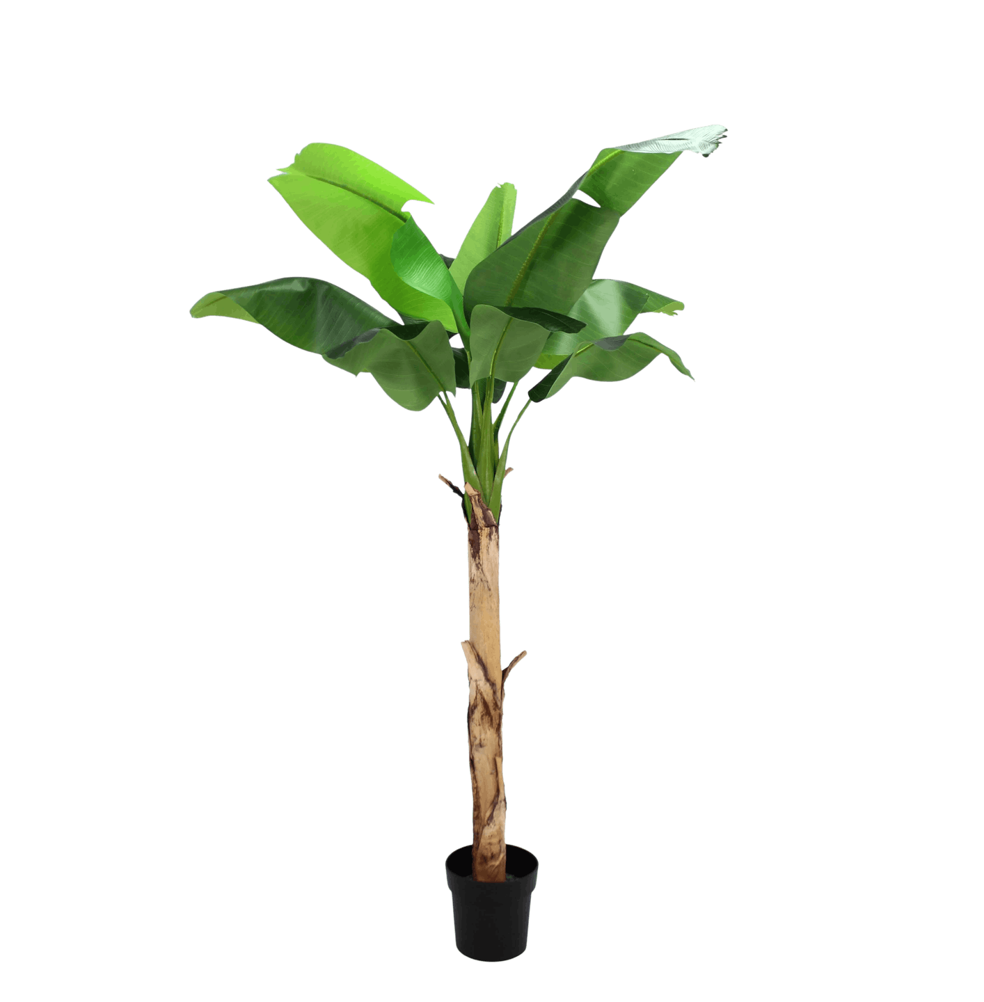 165cm artificial musa banana tree