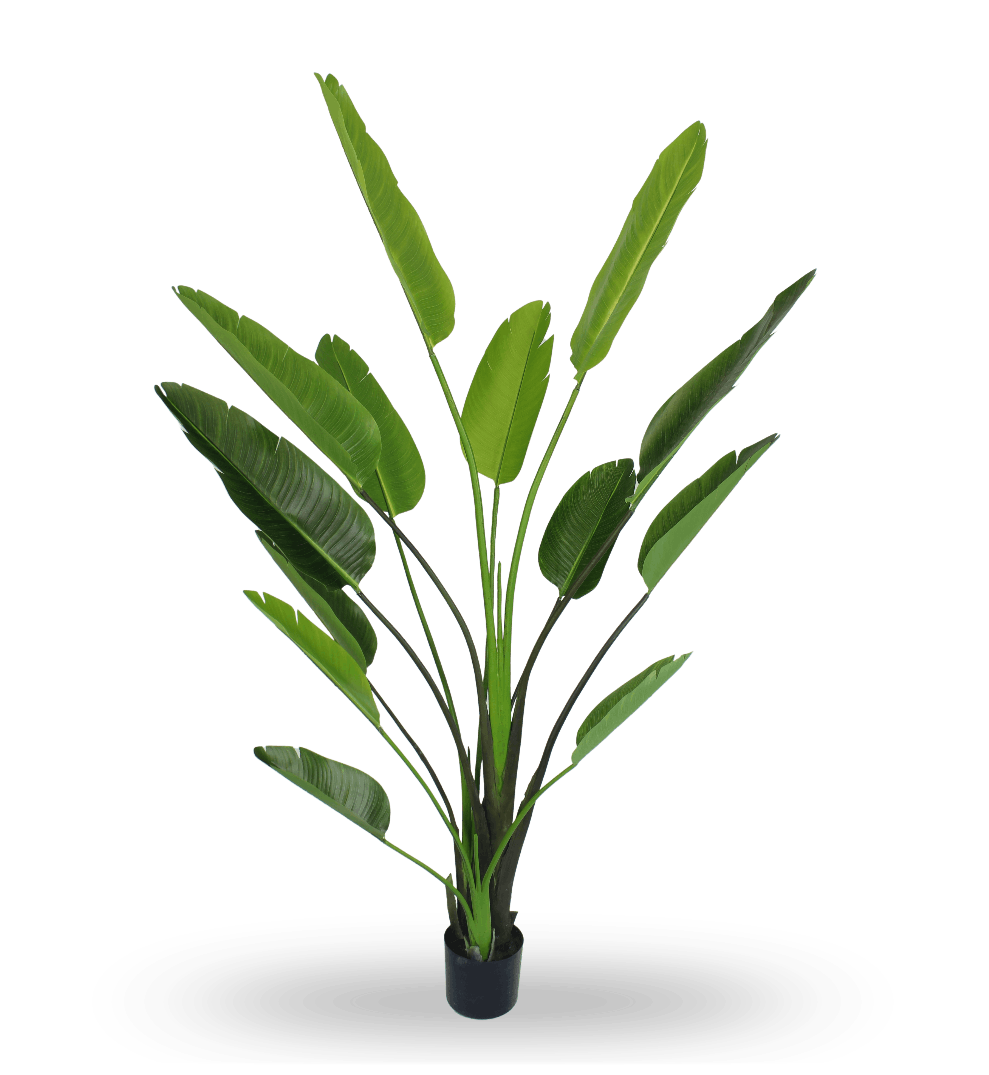 Large Artificial Nicolai Strelitzia Exotic Tree 