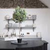 artificial olive ball tree on kitchen counter