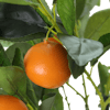 faux-orange-bush-foliage