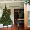 Artificial Oregon pine Christmas tree in conservatory