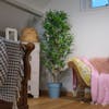 Artificial oriental bamboo tree in bedroom space