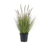 Artificial ornamental pennisetum grass plant