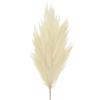 White artificial pampas grass stem