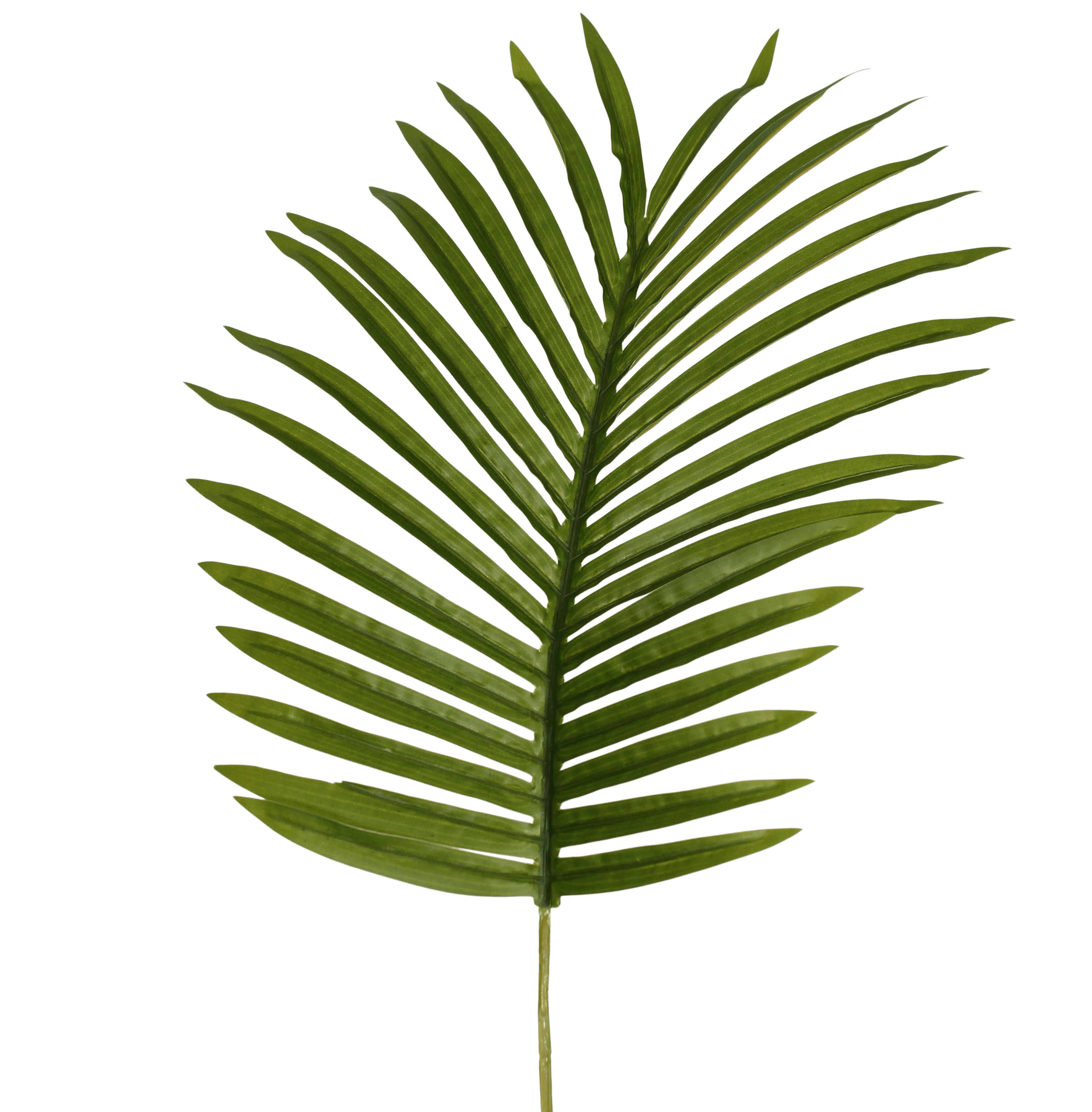 Articial paradise leaf
