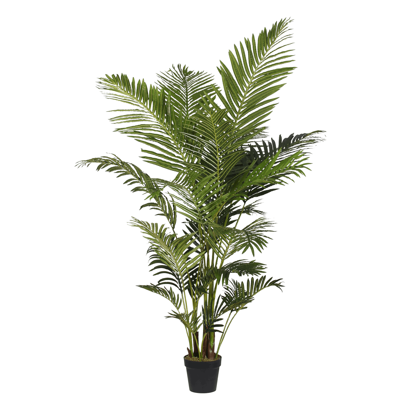 Artificial paradise palm 195cm