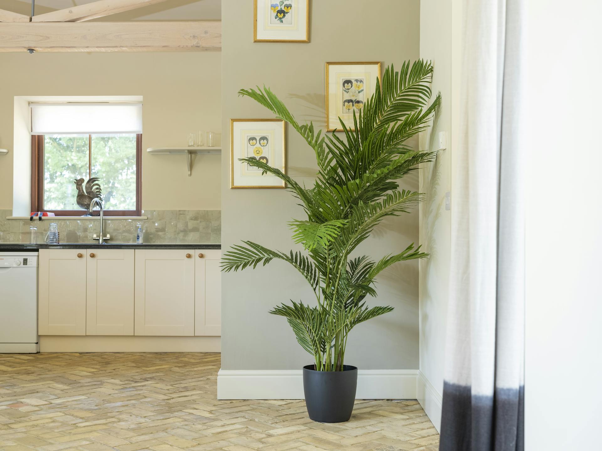 Artificial paradise palm tree in kitchen