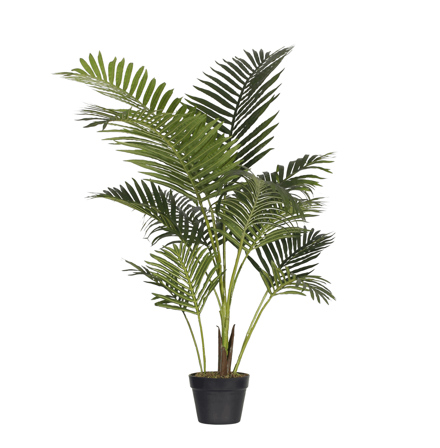 Artificial paradise palm 125cm