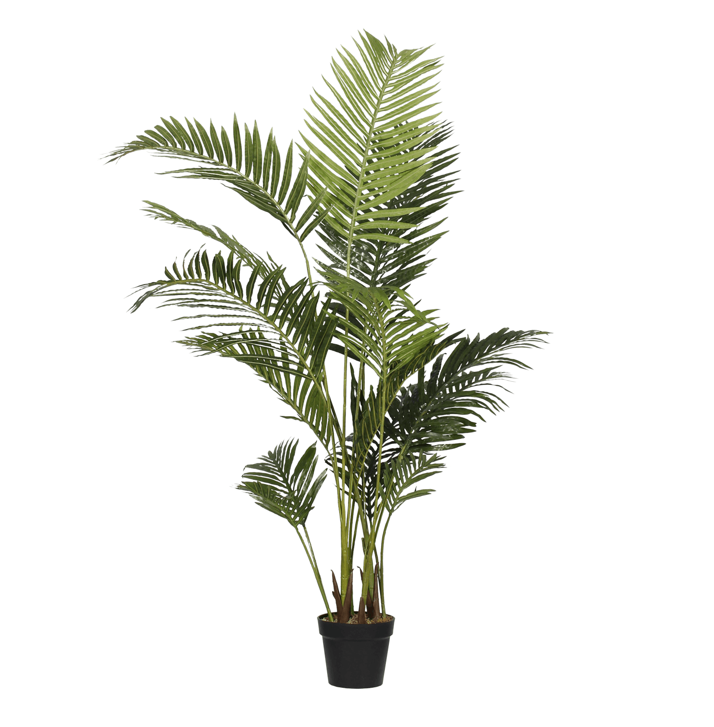 Artificial paradise palm 160cm