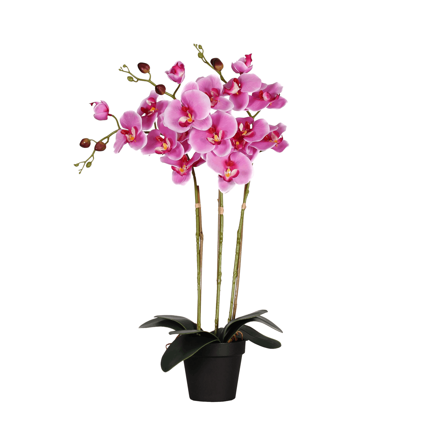 Artificial phalaenopsis orchid pink