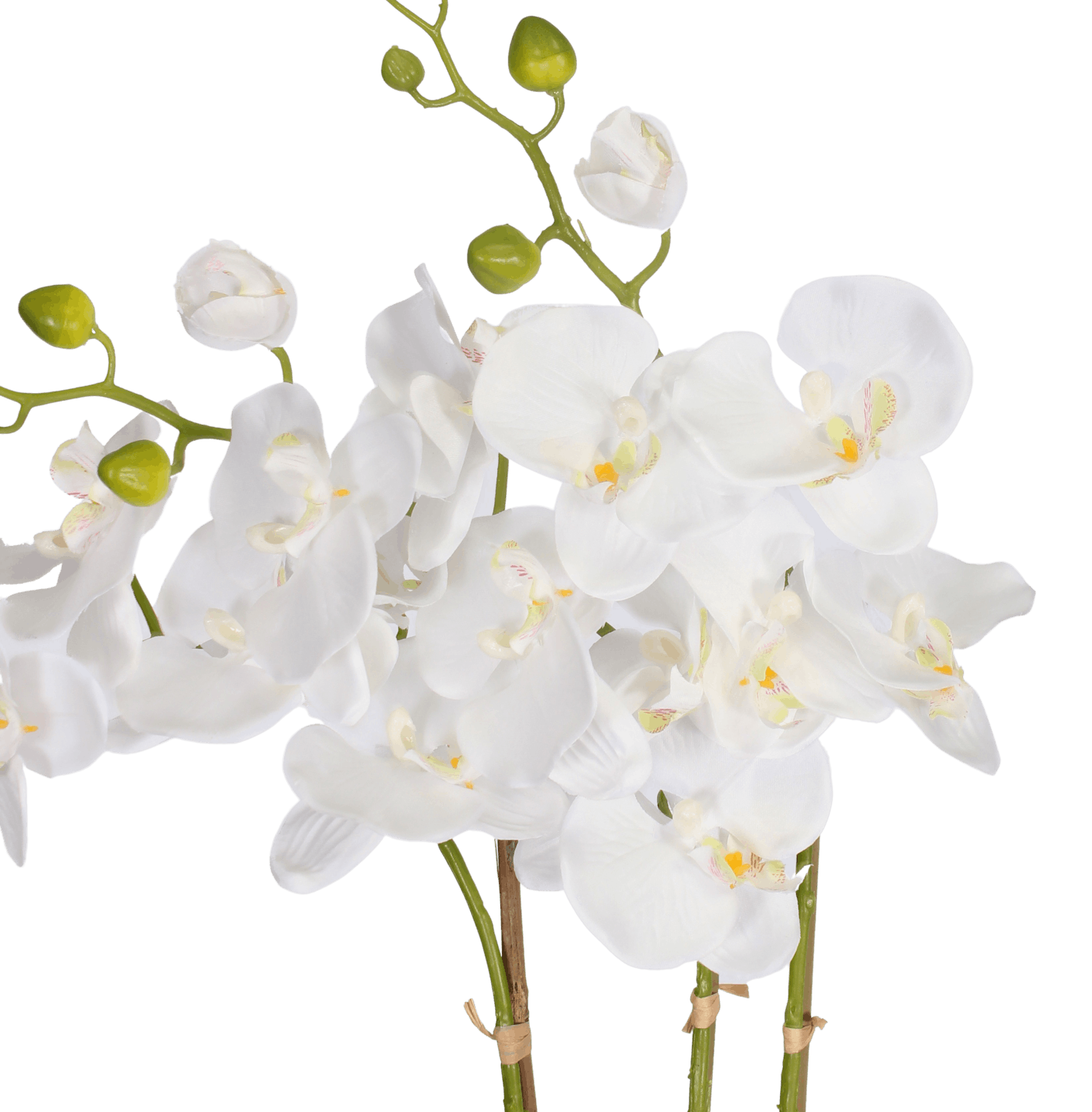 White artificial phalaenopsis orchid flowers