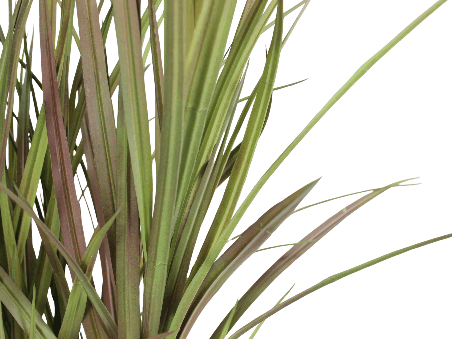 Artificial phormium grass plant leaves