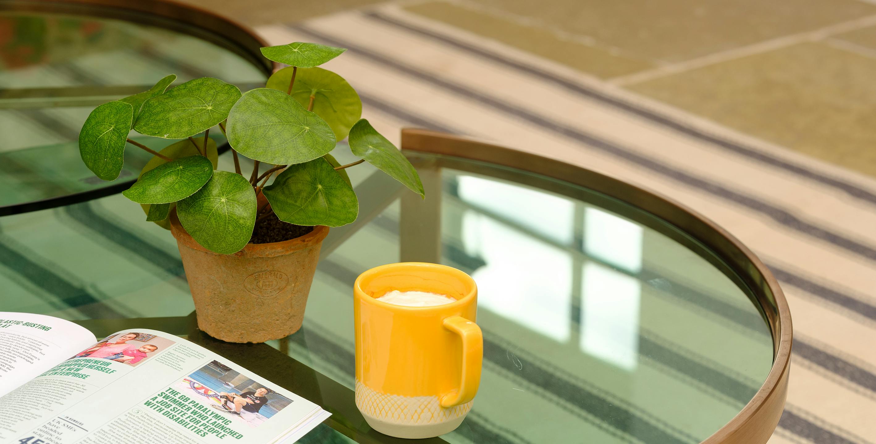 Artificial pilea bush on coffee table