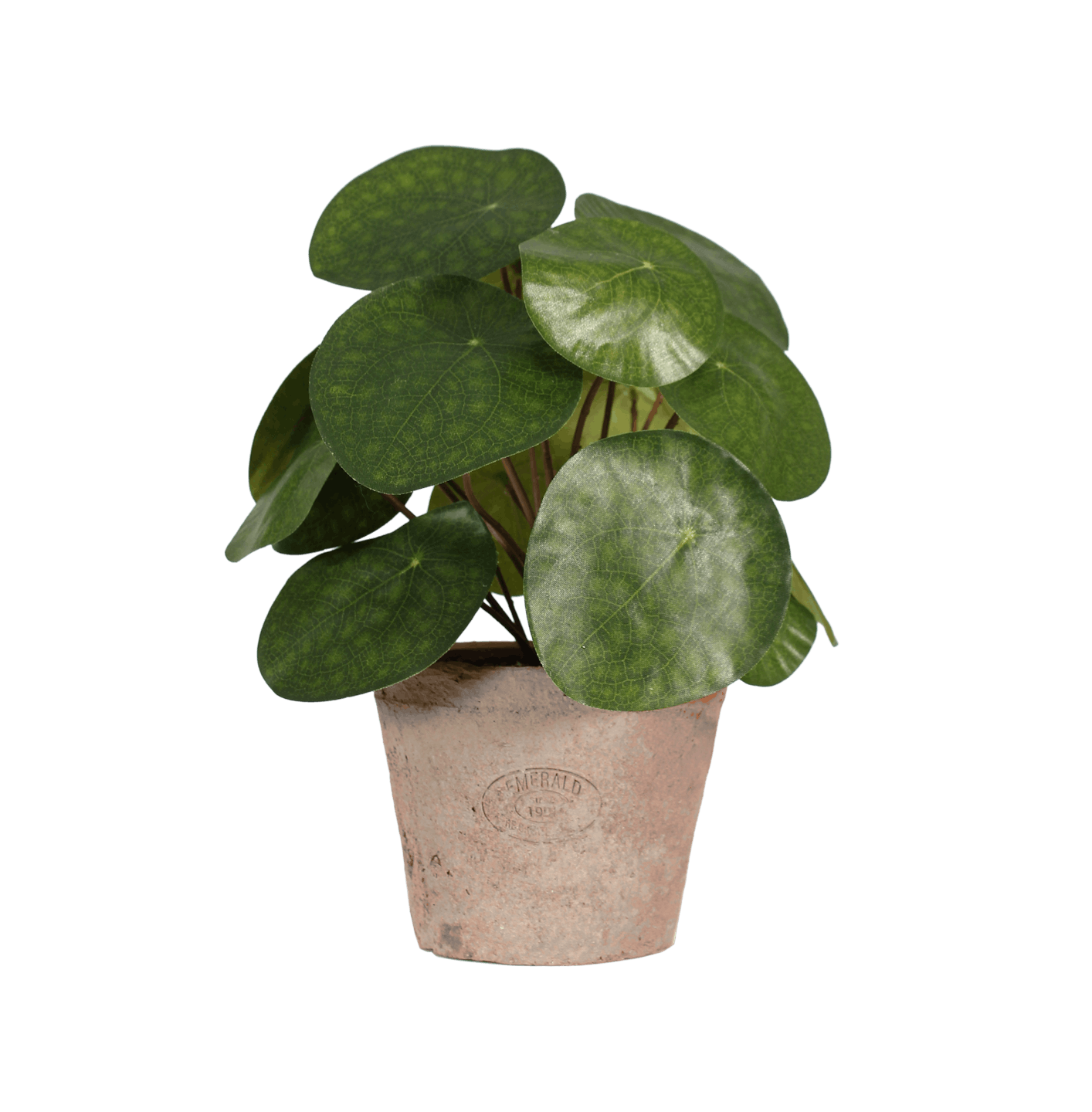 Artificial pilea bush