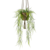 Artificial hanging plumosus fern