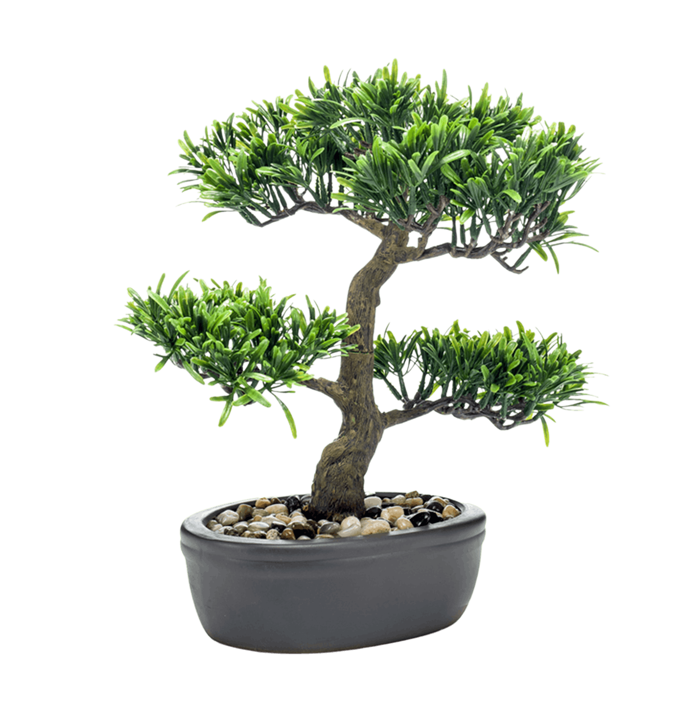 Artificial podocarpus bonsai