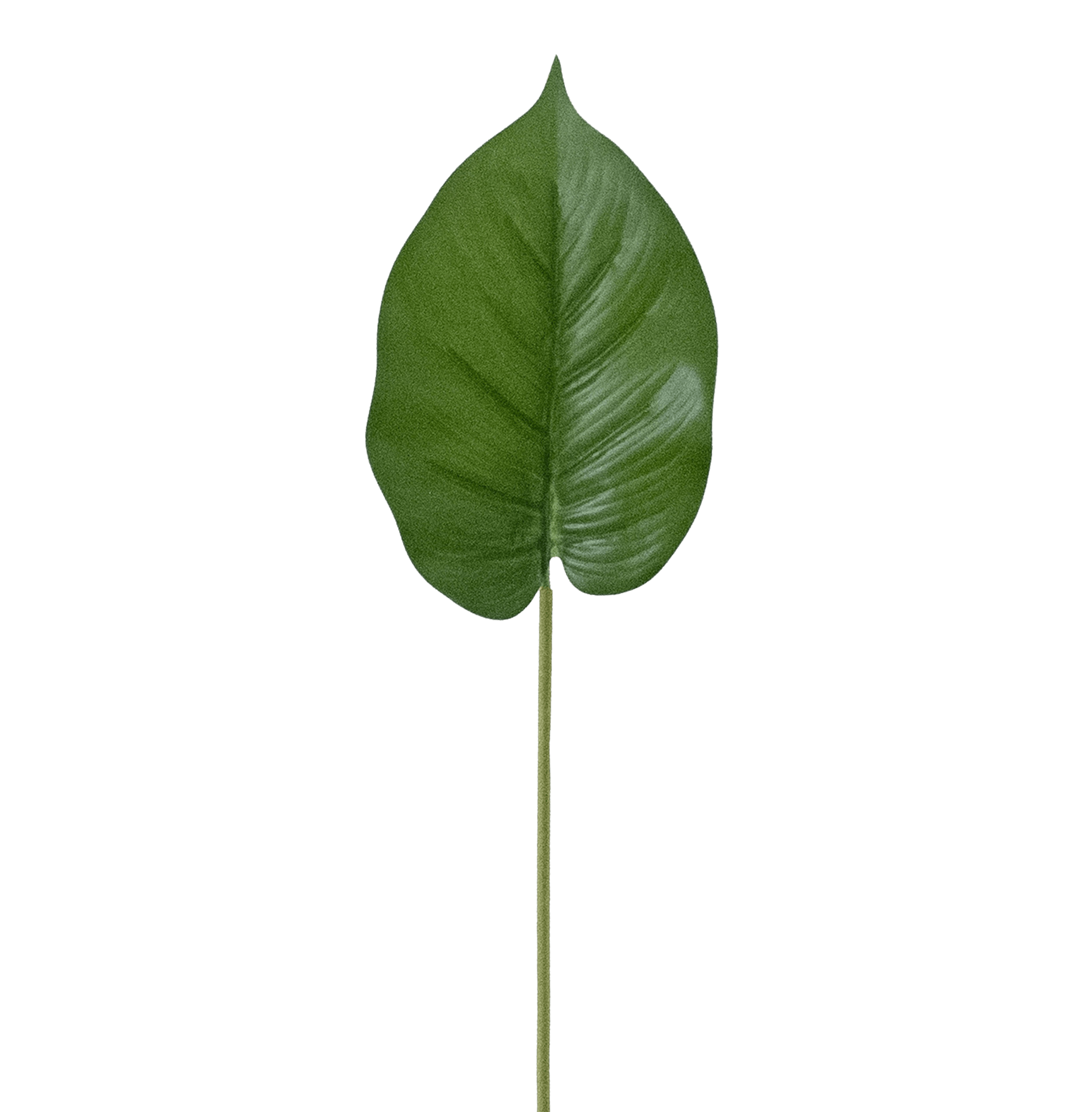 Artificial pothos leaf stem