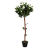 Artificial rose ball tree white