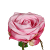 Artificial light pink rose flower