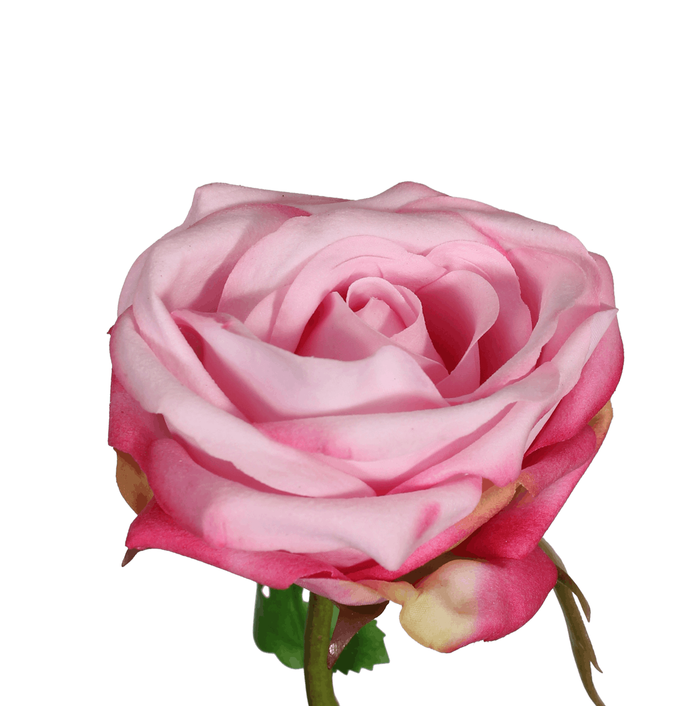 Artificial light pink rose flower