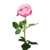 Artificial rose stem light pink