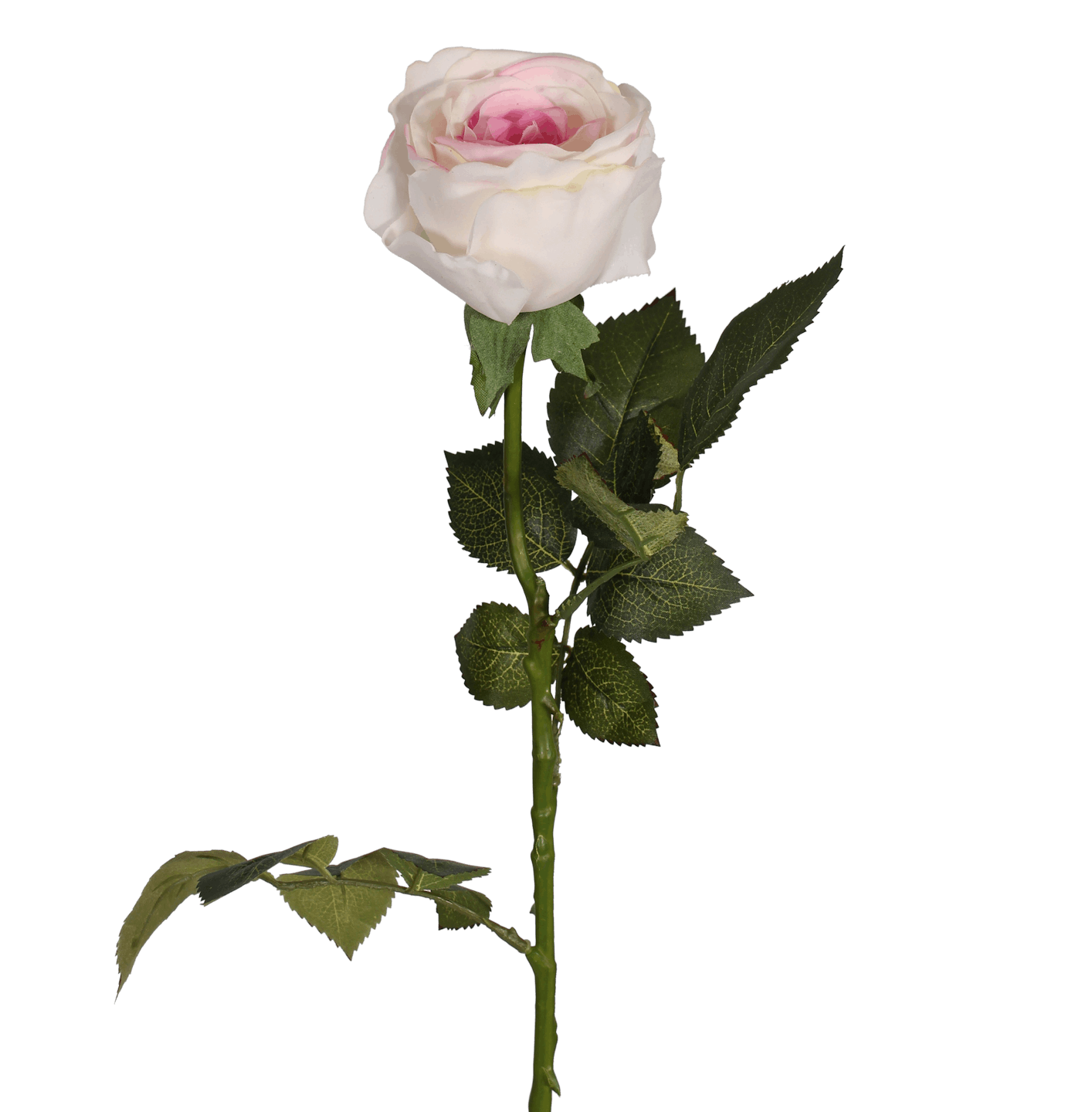 Artificial rose stem white/pink