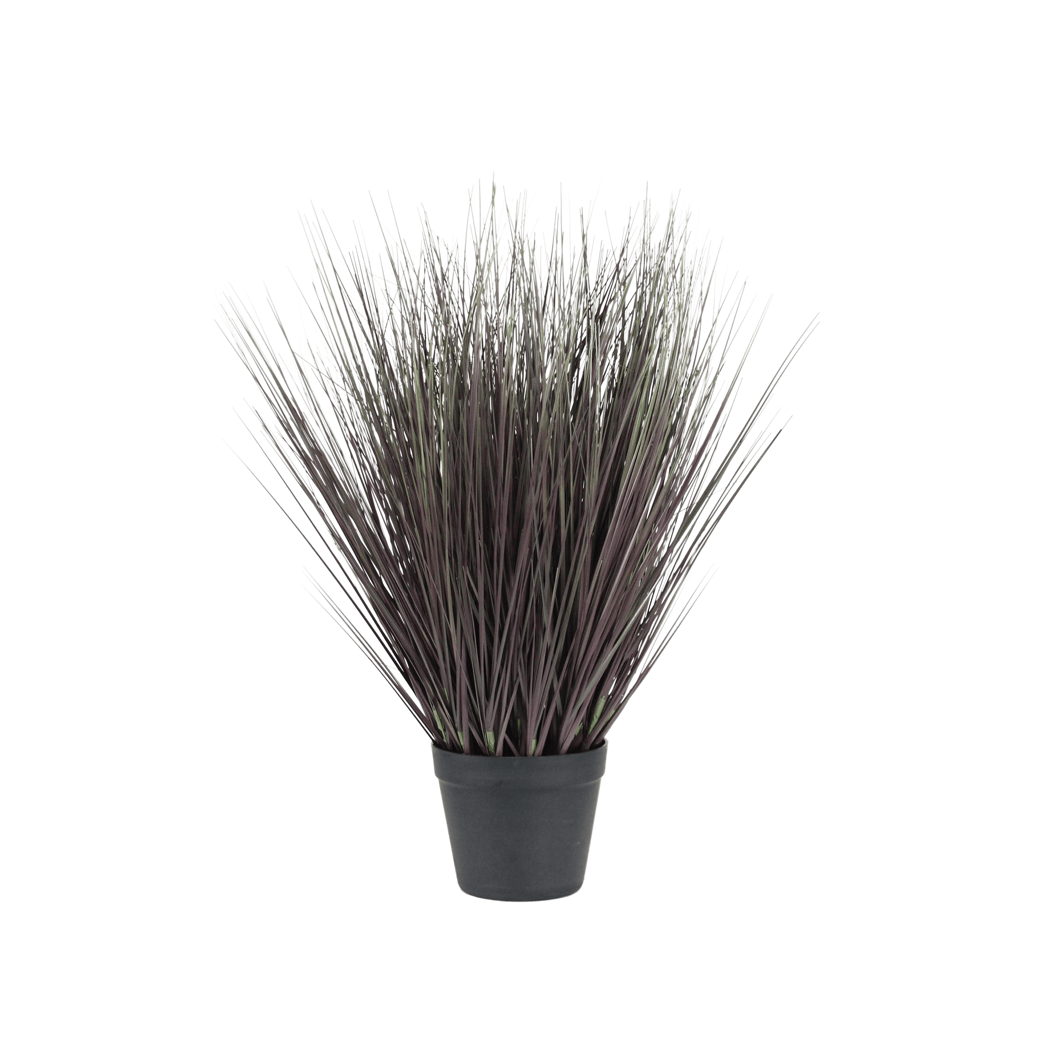 Artificial rubrum grass
