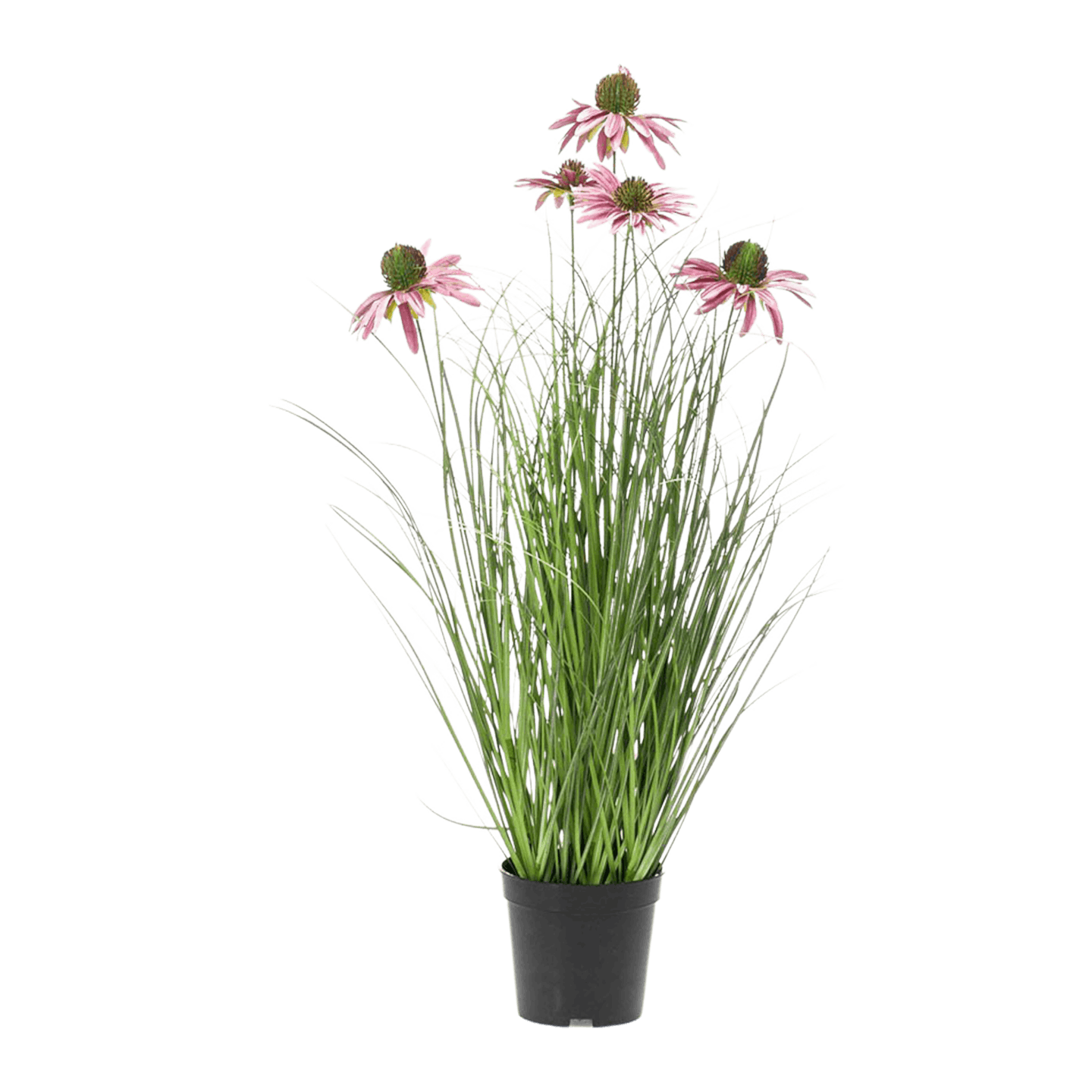 Faux flowering grass plant - rebeckia purple 60cm