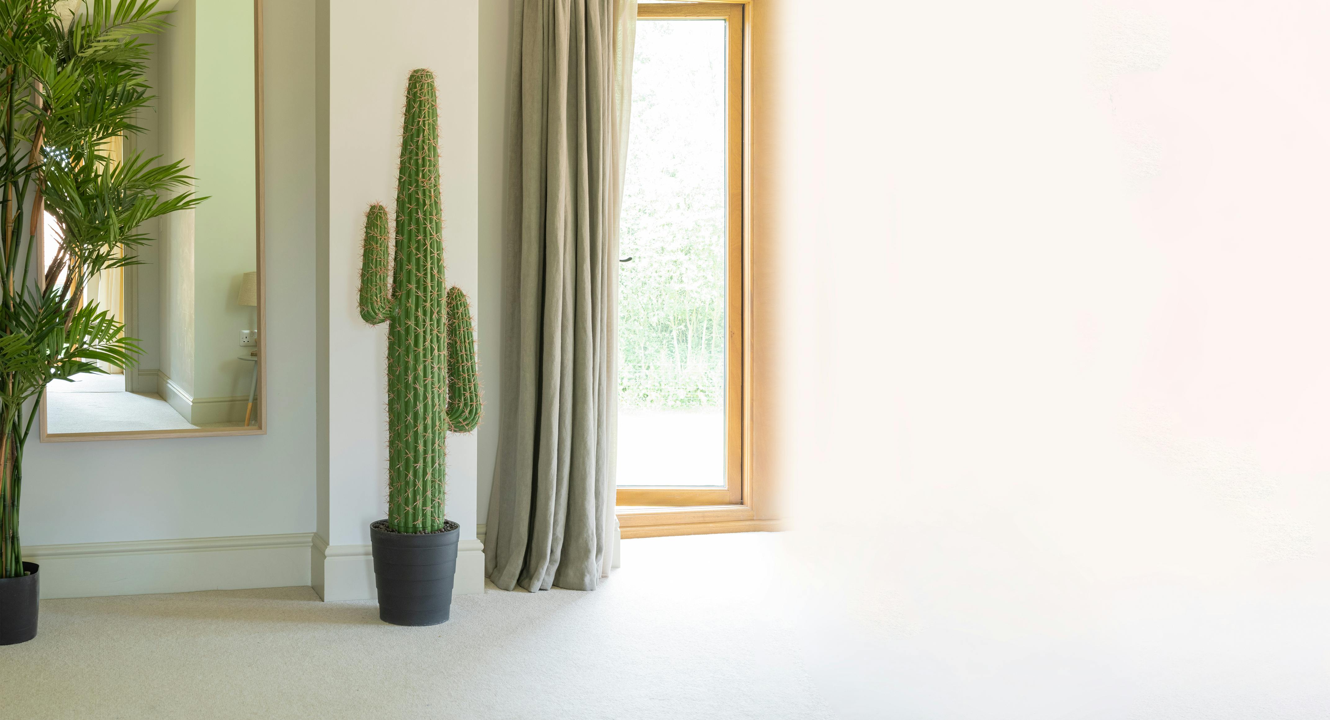Artificial saguro cactus in living room