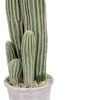Faux San Pedro cactus stem