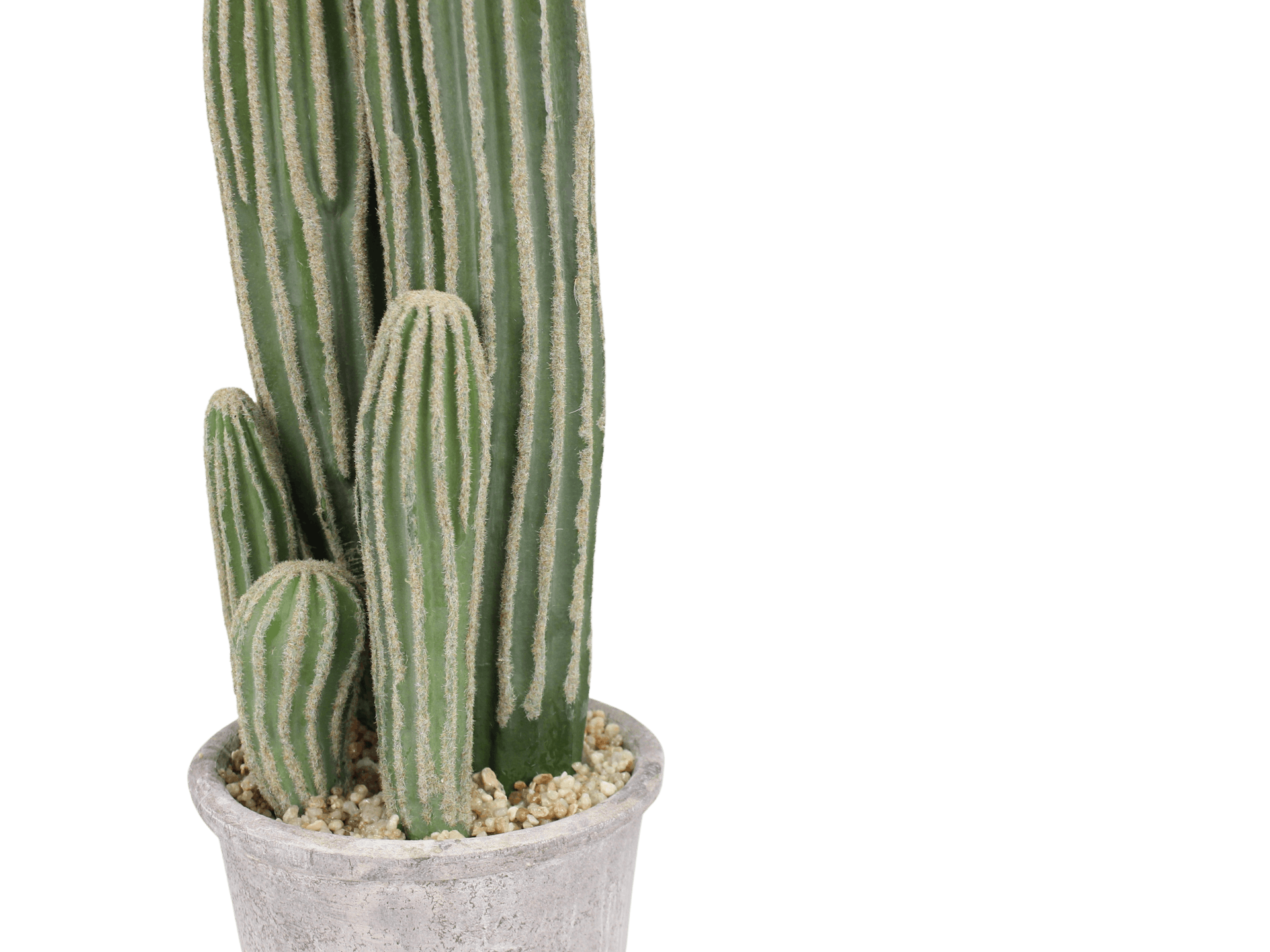 Faux San Pedro cactus stem