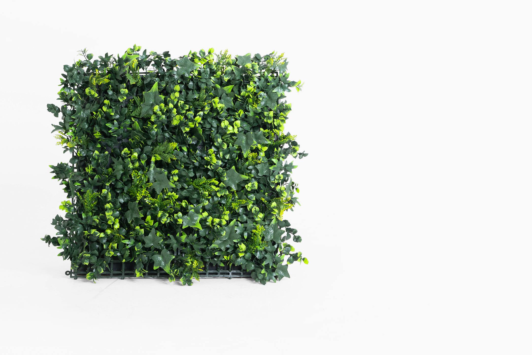 Artificial garden foliage green wall