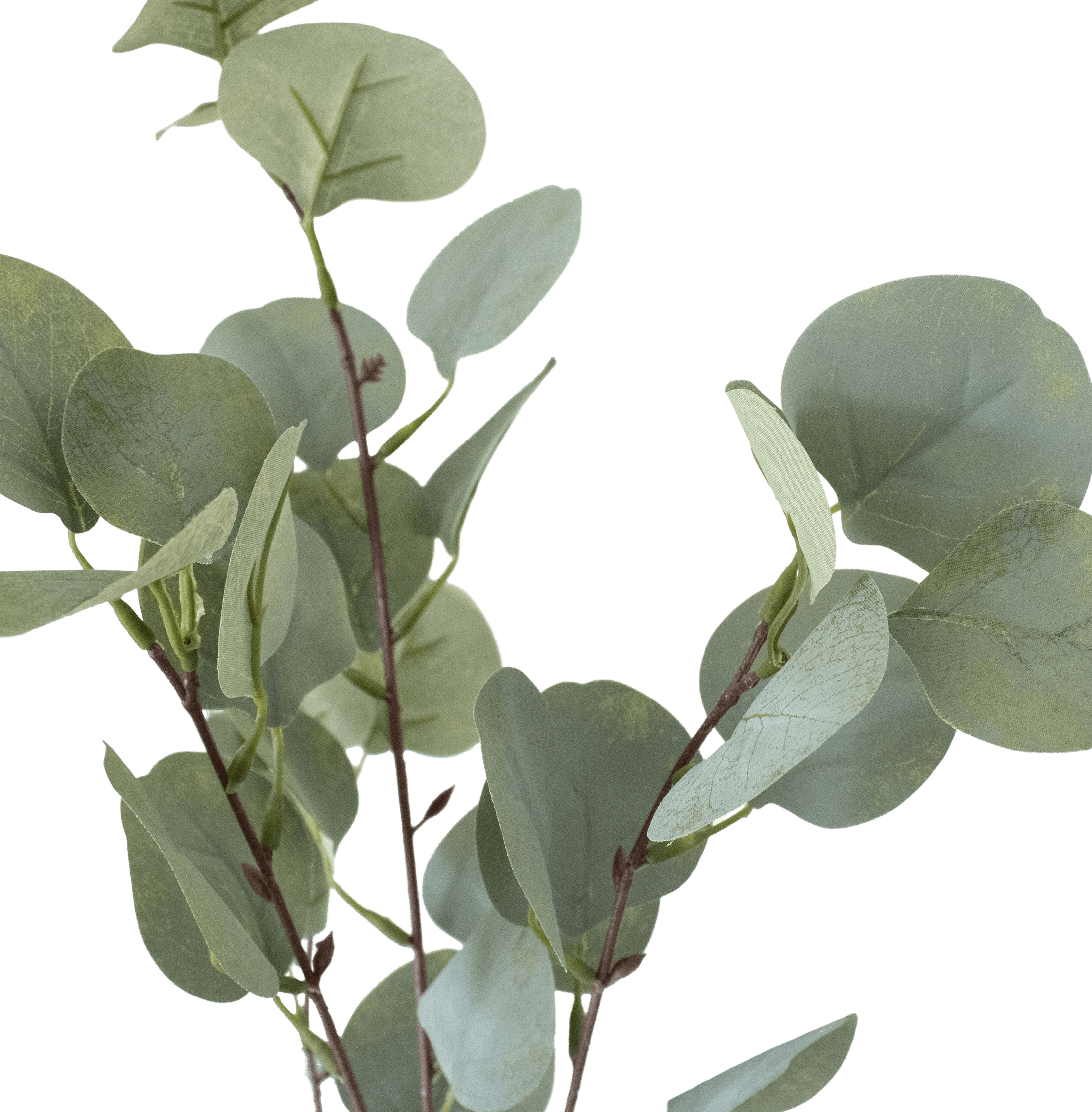 Artificial Silver Dollar Eucalyptus Blooming Artificial