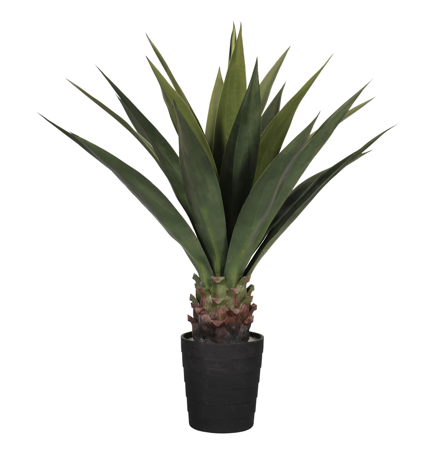 Artificial sisal plant