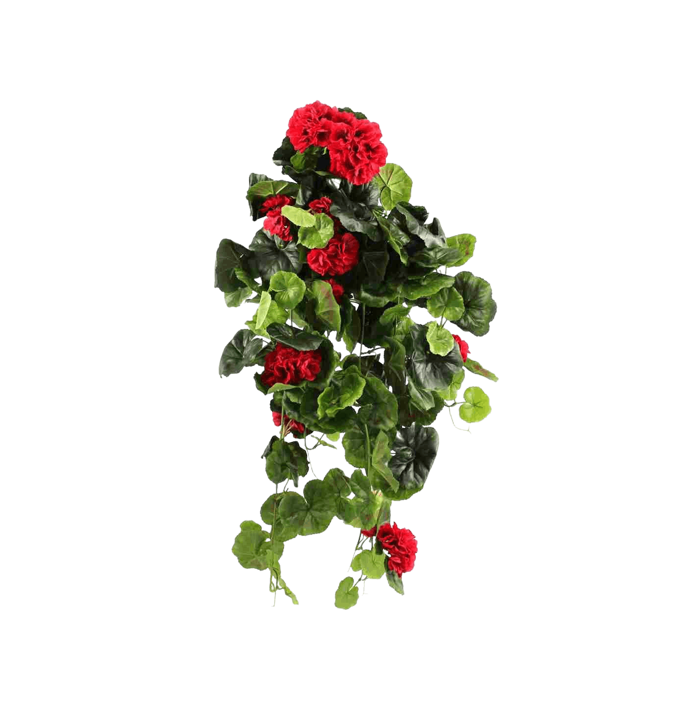 Artificial trailing geranium bush red