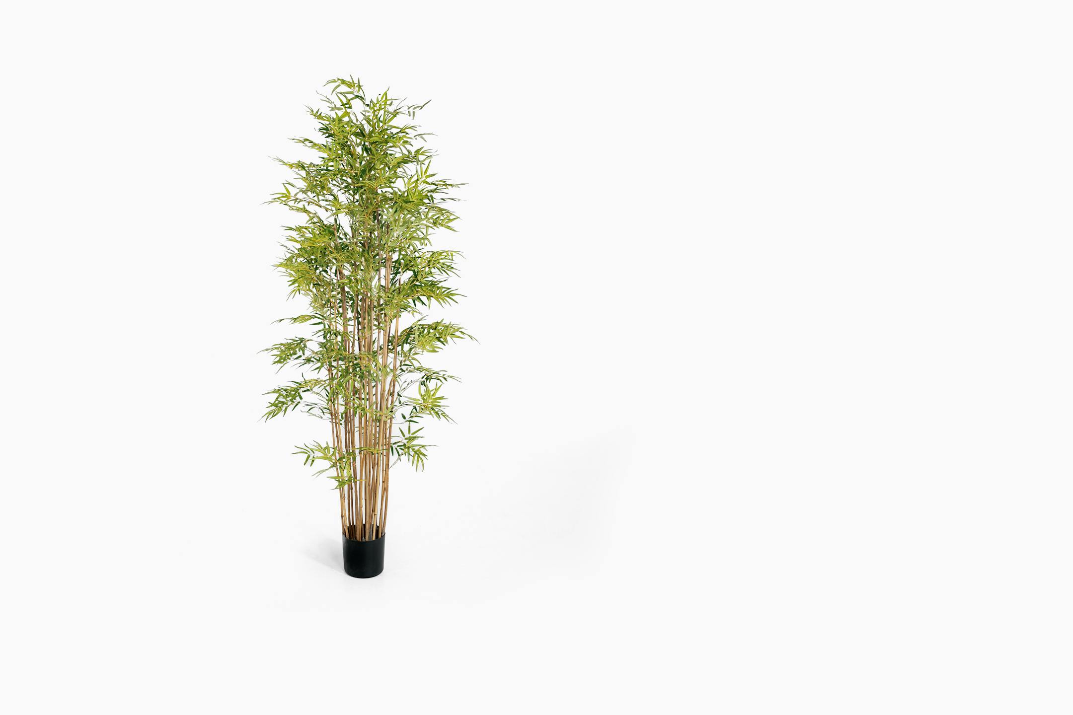 Artificial Japanese bamboo tree