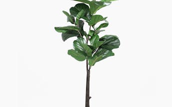 Faux 150cm fiddle leaf fig tree