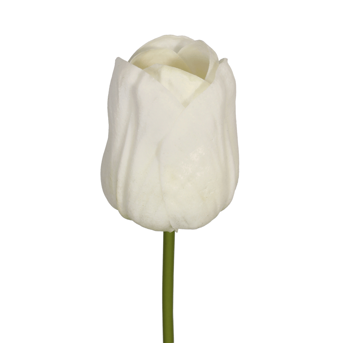 Artificial white tulip flower