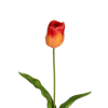 Artificial tulip stem orange