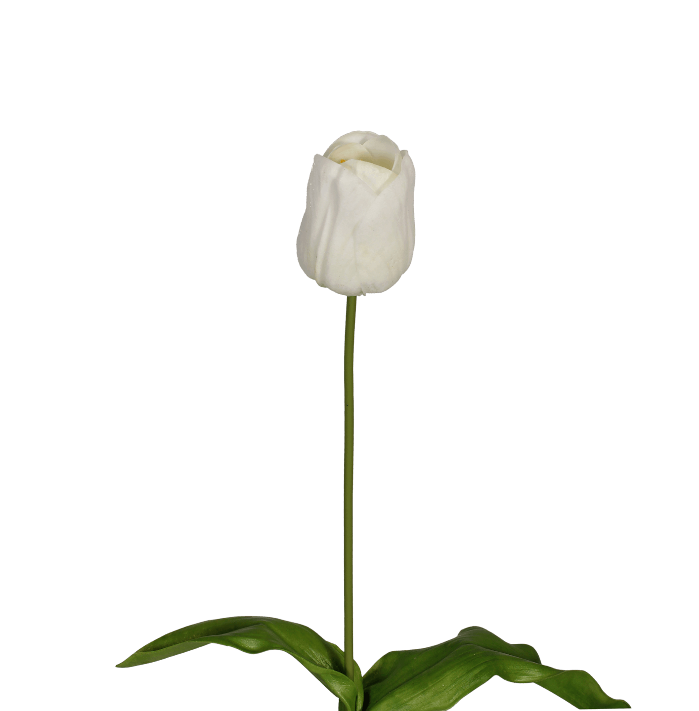 Artificial tulip stem white